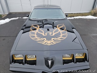 Pontiac Trans Am FIREBIRD TRANS AM 1979