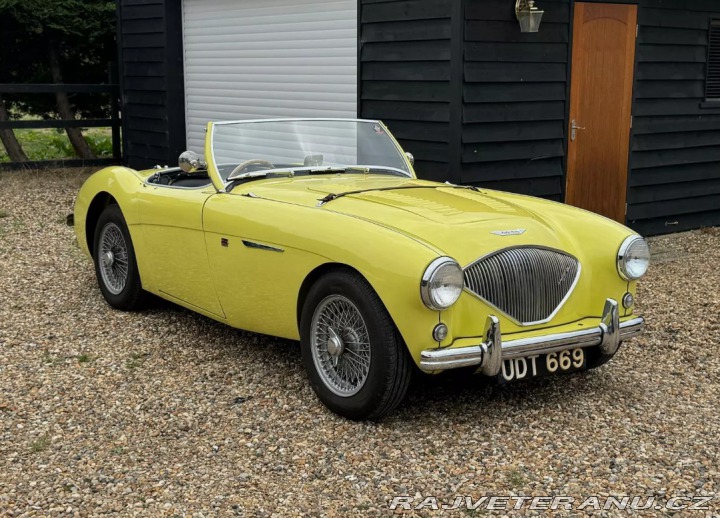 Austin Healey 100/4 (2) 1955