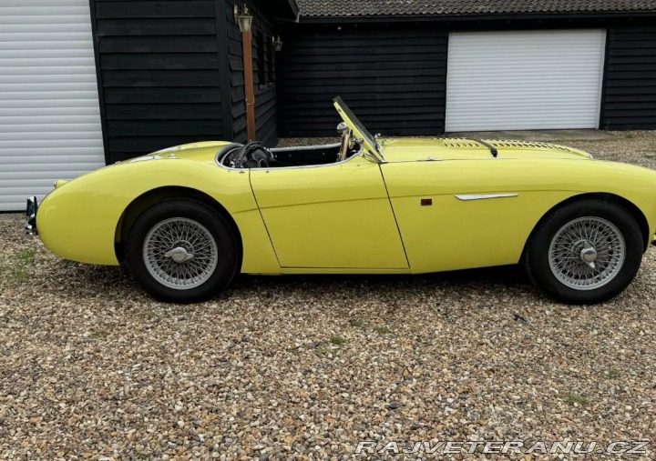 Austin Healey 100/4 (2) 1955
