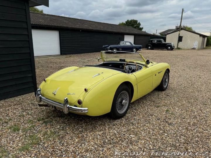Austin Healey 100/4 (2) 1955