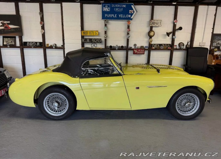 Austin Healey 100/4 (2) 1955