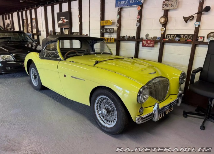 Austin Healey 100/4 (2) 1955