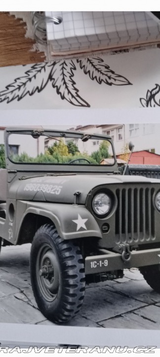 Jeep Willys 1955