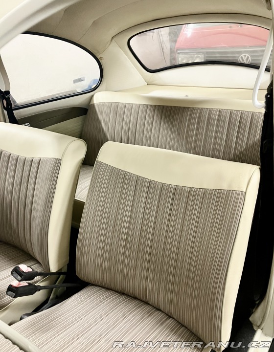 Volkswagen Brouk 1965