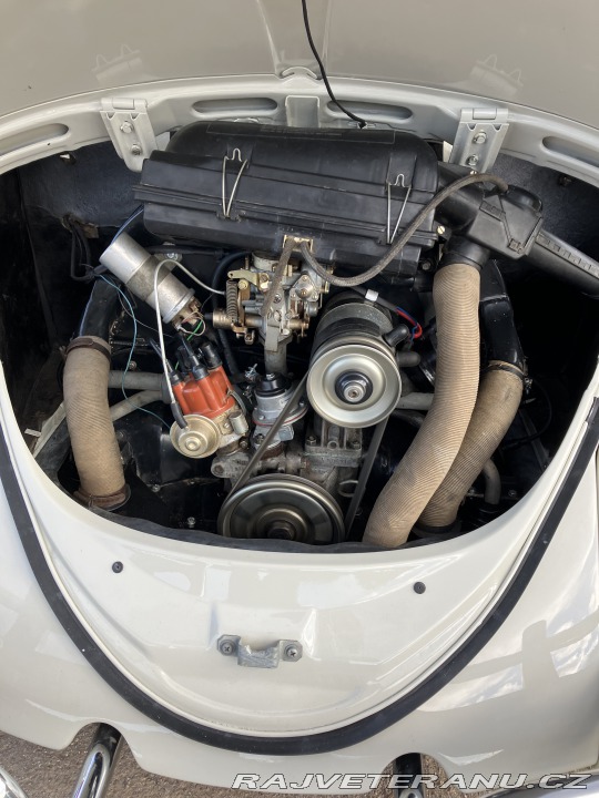 Volkswagen Brouk 1965