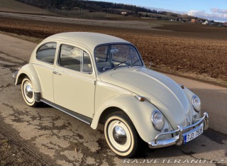 Volkswagen Brouk 1965