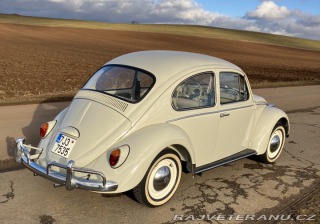 Volkswagen Brouk 1965