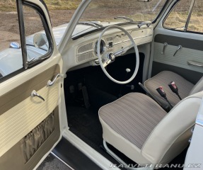 Volkswagen Brouk 1965