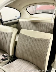 Volkswagen Brouk 1965