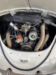 Volkswagen Brouk 1965