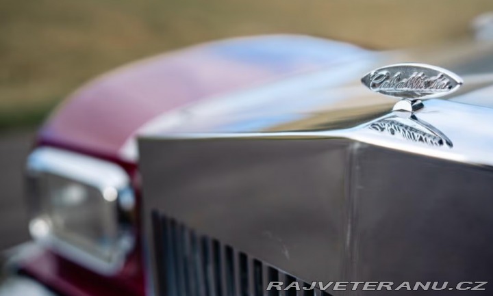 Chevrolet Corvette Caballista V8 1979