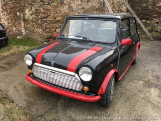 Mini Cooper 1991