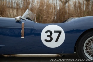 Ostatní značky Ostatní modely Buckler DD2 COVENTRY CLIMAX 1960
