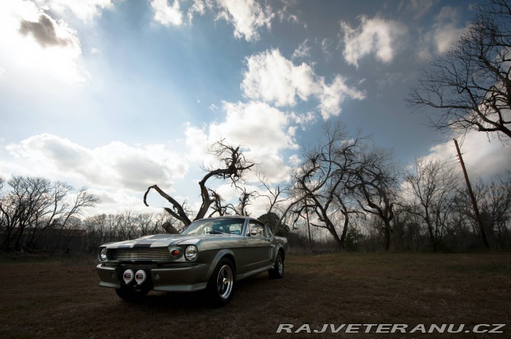 Ford Mustang Fastback 1966