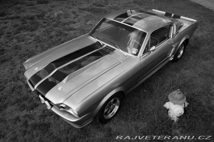 Ford Mustang Fastback 1966