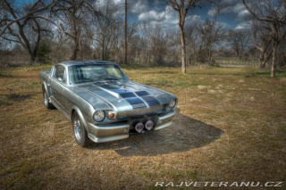Ford Mustang Fastback 1966