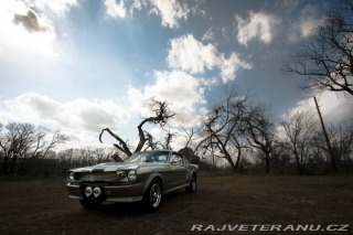 Ford Mustang Fastback 1966