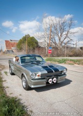 Ford Mustang Fastback 1966