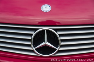 Mercedes-Benz 600 SL 600 V12 1994