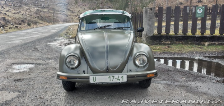 Volkswagen Brouk 1,2 1978