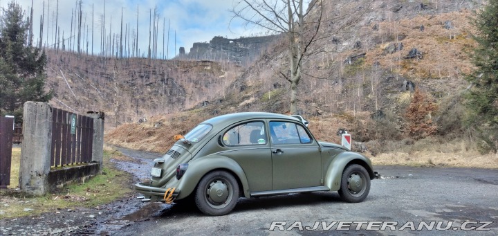 Volkswagen Brouk 1,2 1978