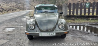 Volkswagen Brouk 1,2 1978