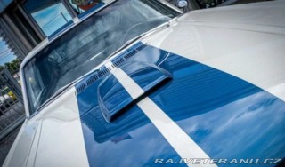 Ford Mustang Shelby G.T 350 1965