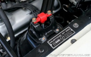 Ford Mustang Shelby G.T 350 1965