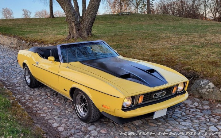 Ford Mustang Convertible 1973