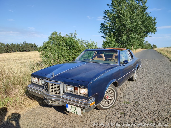 Pontiac Grand Prix Targa 1979