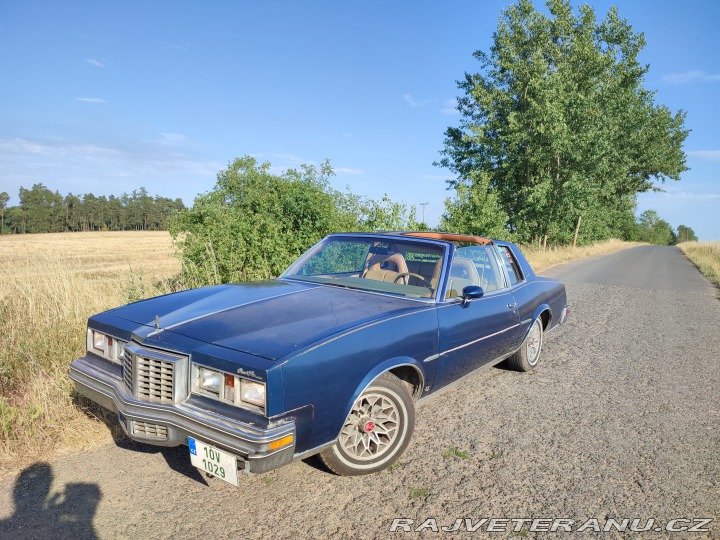 Pontiac Grand Prix Targa 1979