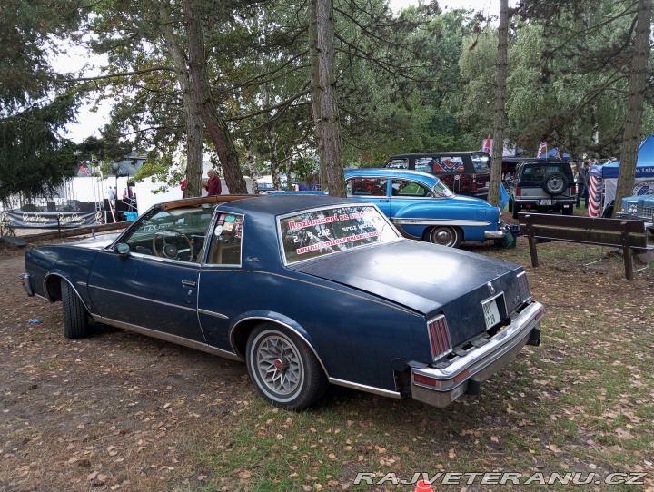 Pontiac Grand Prix Targa 1979