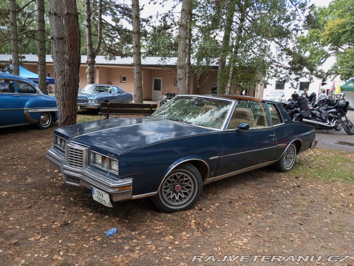 Pontiac Grand Prix Targa 1979