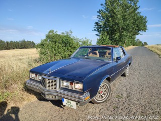 Pontiac Grand Prix Targa 1979