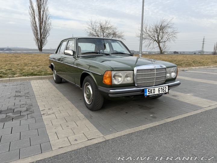 Mercedes-Benz 200 w124 200D 1980
