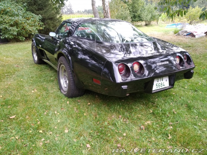 Chevrolet Corvette C3 1979