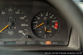 Ostatní značky Ostatní modely Steyr D. Puch 300 GE 1991