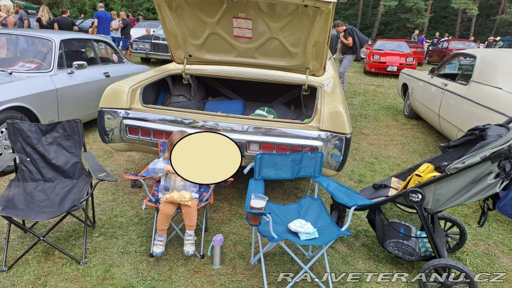 Plymouth Fury Fury III 4HT 1972