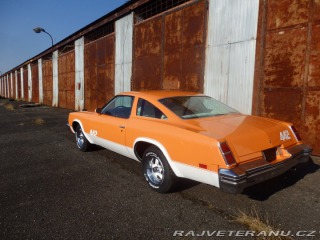 Oldsmobile 442  1976