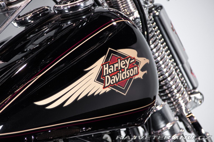 Harley-Davidson Ostatní modely SOFTAIL SPRINGER 1998