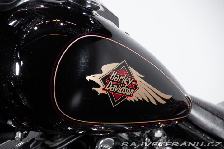 Harley-Davidson Ostatní modely SOFTAIL SPRINGER 1998