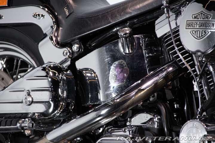 Harley-Davidson Ostatní modely SOFTAIL SPRINGER 1998