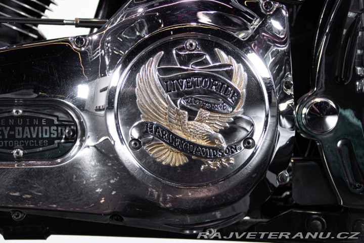 Harley-Davidson Ostatní modely SOFTAIL SPRINGER 1998