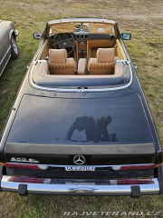 Mercedes-Benz SL 500 sl r107 1982