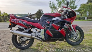 Suzuki GSX GSX-R1100W 1993