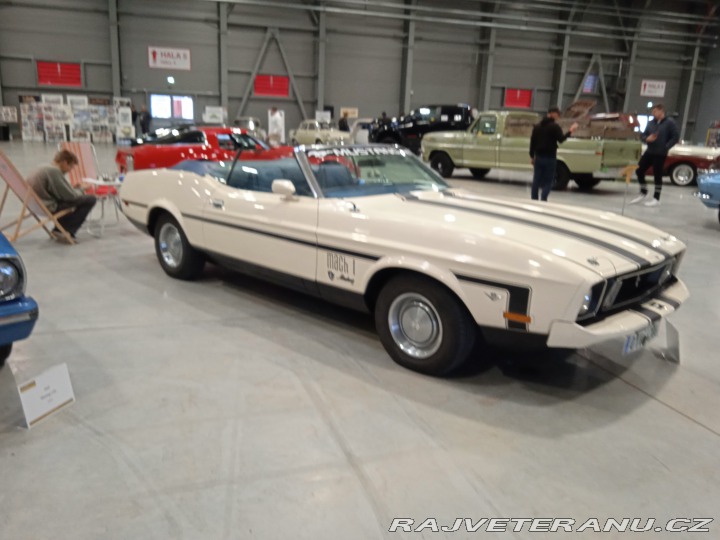 Ford Mustang Mach 1 gabrio 1973