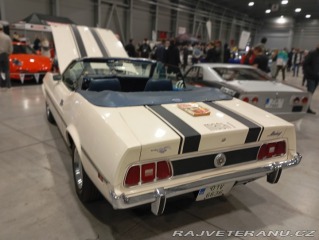 Ford Mustang Mach 1 gabrio 1973