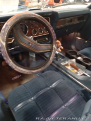Ford Mustang Gia 1974