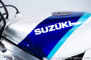 Suzuki RG RGV GAMMA 250 1992