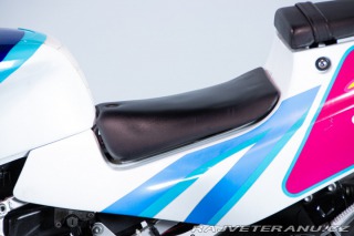 Suzuki RG RGV GAMMA 250 1992